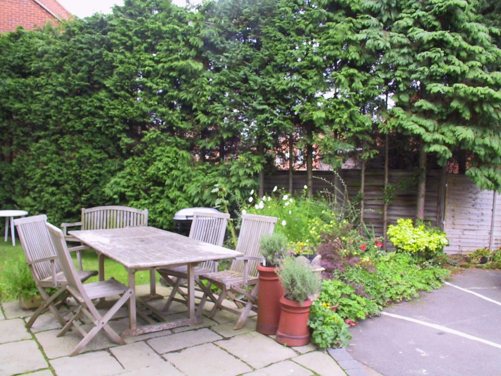 Springfield House - Birmingham Airport & Nec Bed and Breakfast Coleshill Eksteriør billede